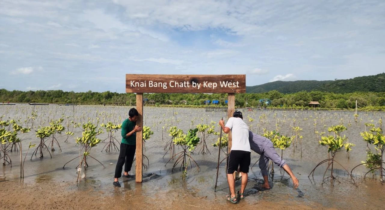Mangrove planting by Knai Bang Chatt by Kep West