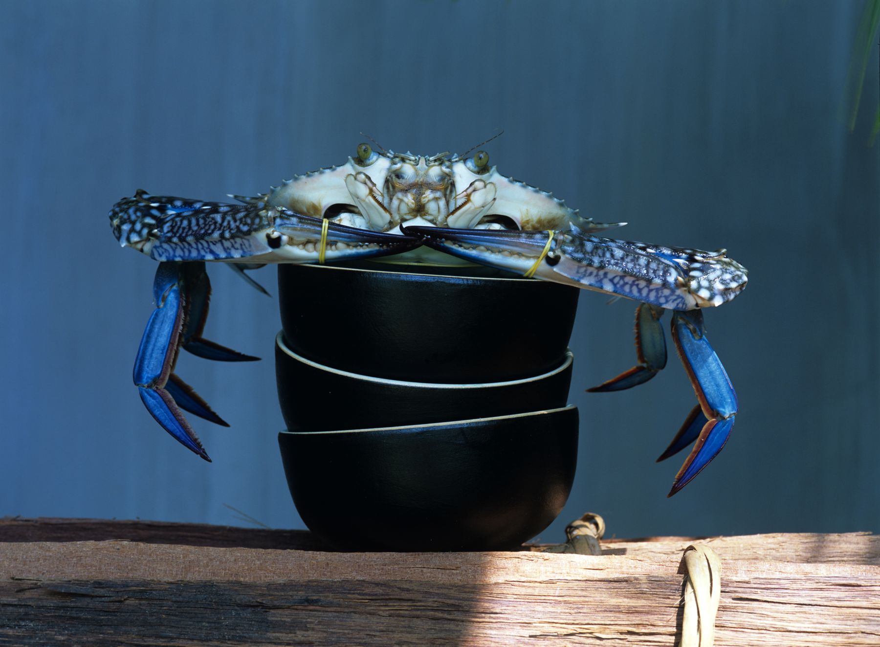 Coastal dining
