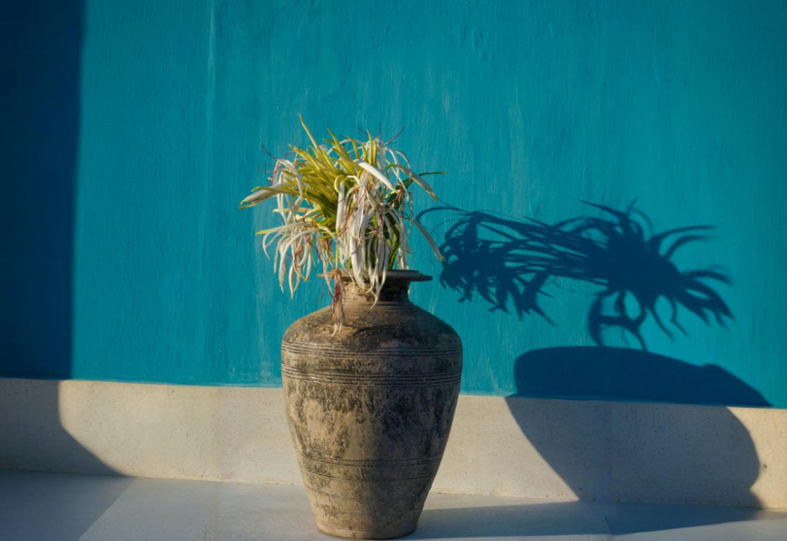 Wabi-Sabi Yoga Retreat — “Embrace Your Truth”