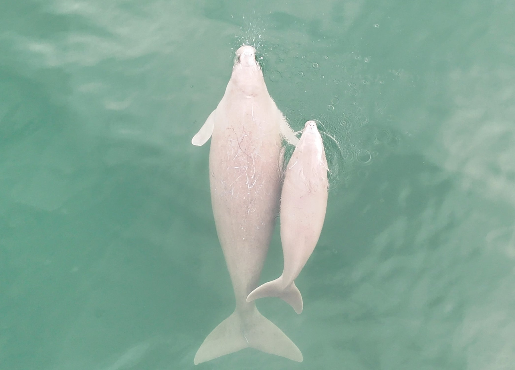 Marine Conservation Insight — Sustainability, Nature and Adventure